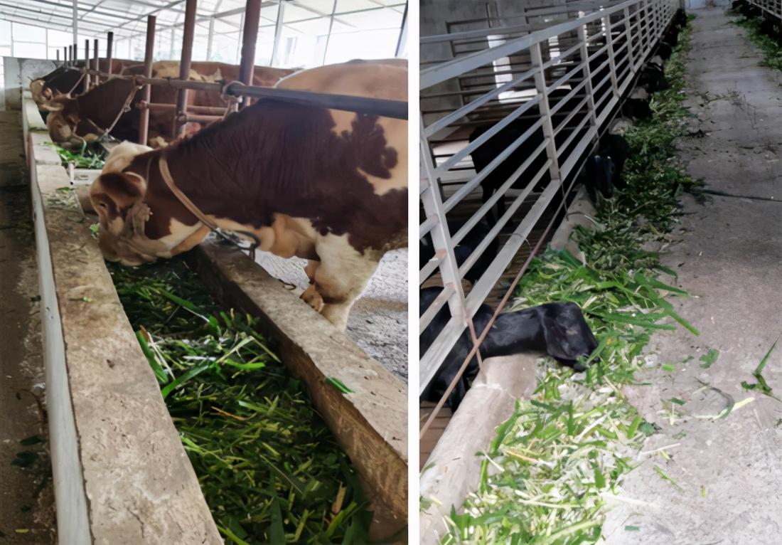 锌硒产品推荐(锌硒片推荐)-硒宝网