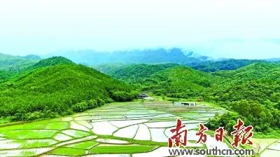 硒农产品研究(农科院的硒多少钱一盒)-硒宝网