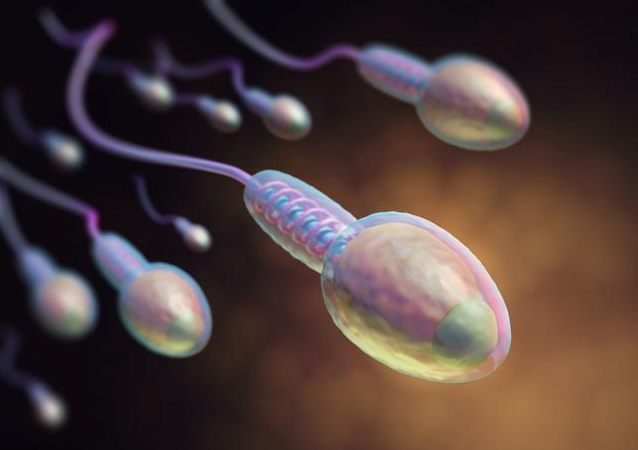 补锌的药物有哪些(补充锌的药)-硒宝网