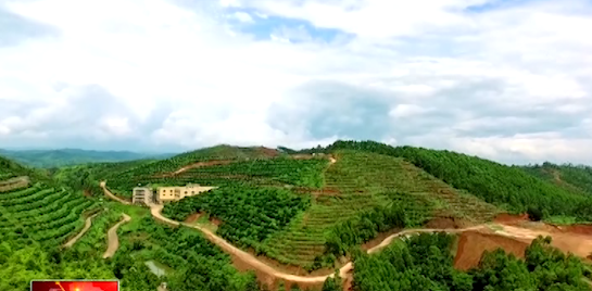 梅州硒农产品（梅州富硒）-硒宝网