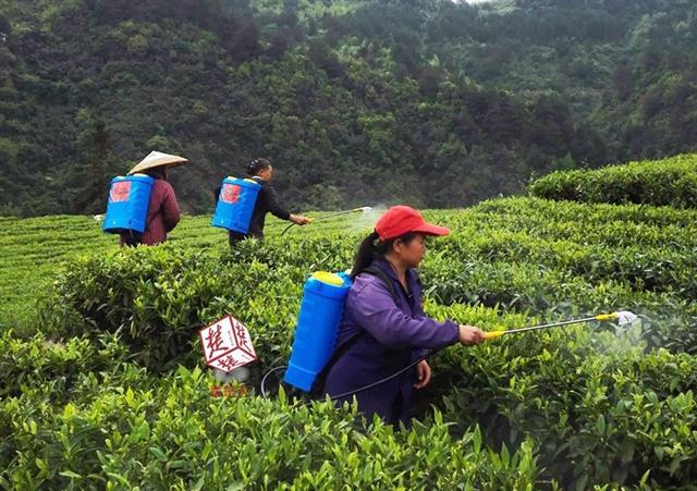 中科大硒产品（中科牌硒胶囊的功效）-硒宝网