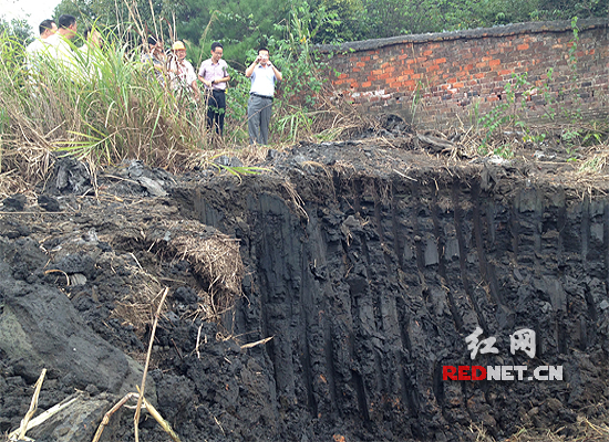 含硒产品检测（检测硒含量）-硒宝网