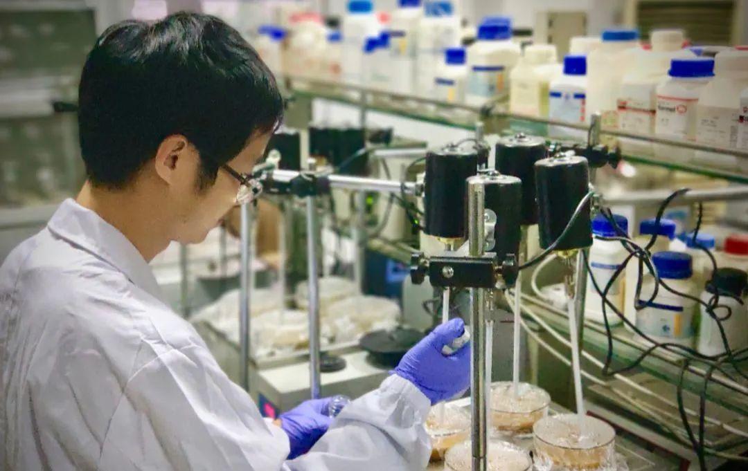 安琪的硒产品(安琪硒酵母ce胶襄的作用)-硒宝网