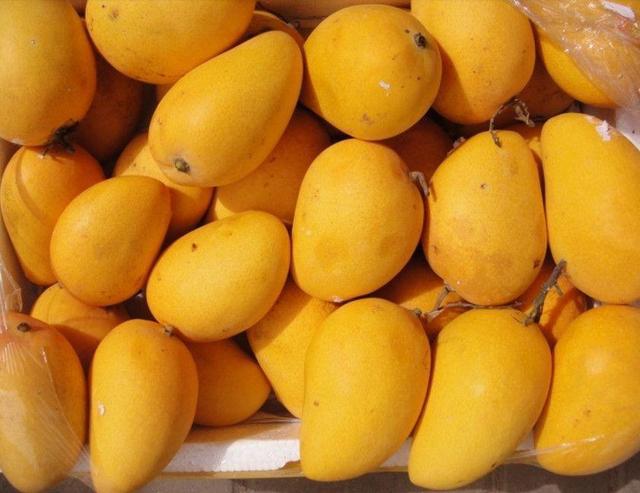 硒弹液肽产品（硒弹液肽哪个品牌好）-硒宝网