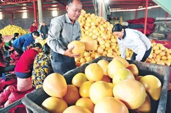 硒味道农产品(味道农产品硒含量标准)-硒宝网