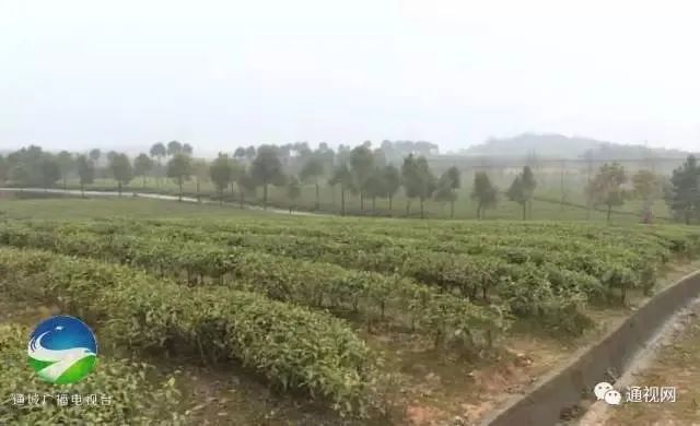 硒味道农产品(味道农产品硒含量标准)-硒宝网