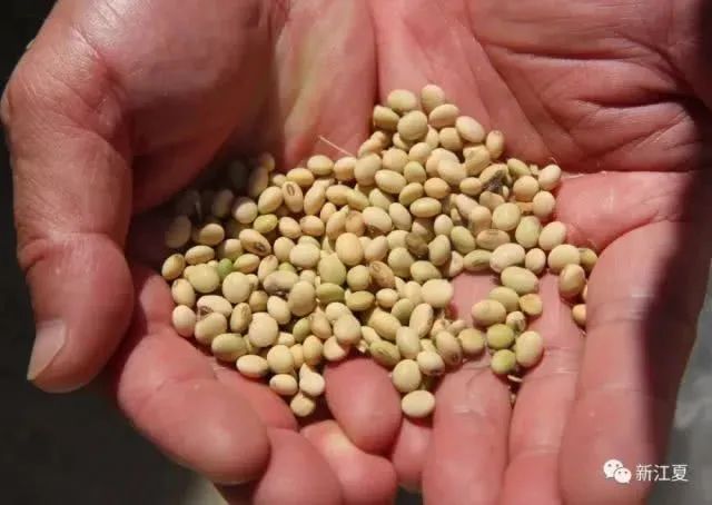 硒味道农产品(味道农产品硒含量标准)-硒宝网