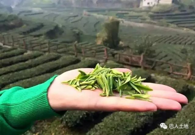 硒味道农产品(味道农产品硒含量标准)-硒宝网