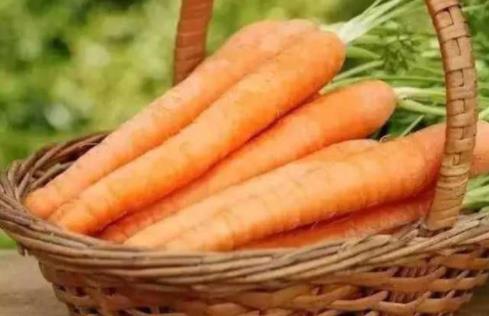 农产品纳米硒(纳米农产品硒含量)-硒宝网