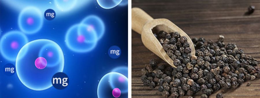 宝康士硒产品(硒宝康有副作用吗)-硒宝网