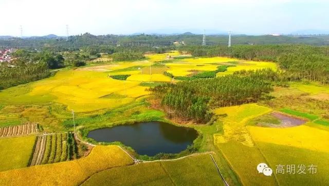硒味道农产品(硒味道)-硒宝网
