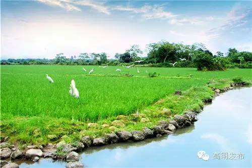 硒味道农产品(硒味道)-硒宝网