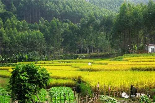 硒味道农产品(硒味道)-硒宝网