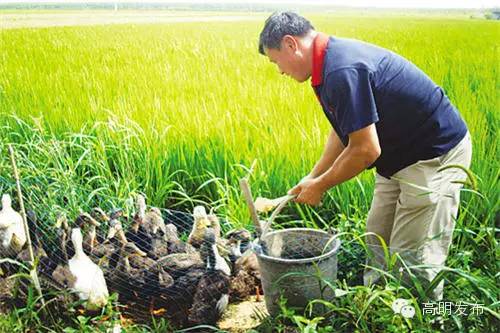 硒味道农产品(硒味道)-硒宝网