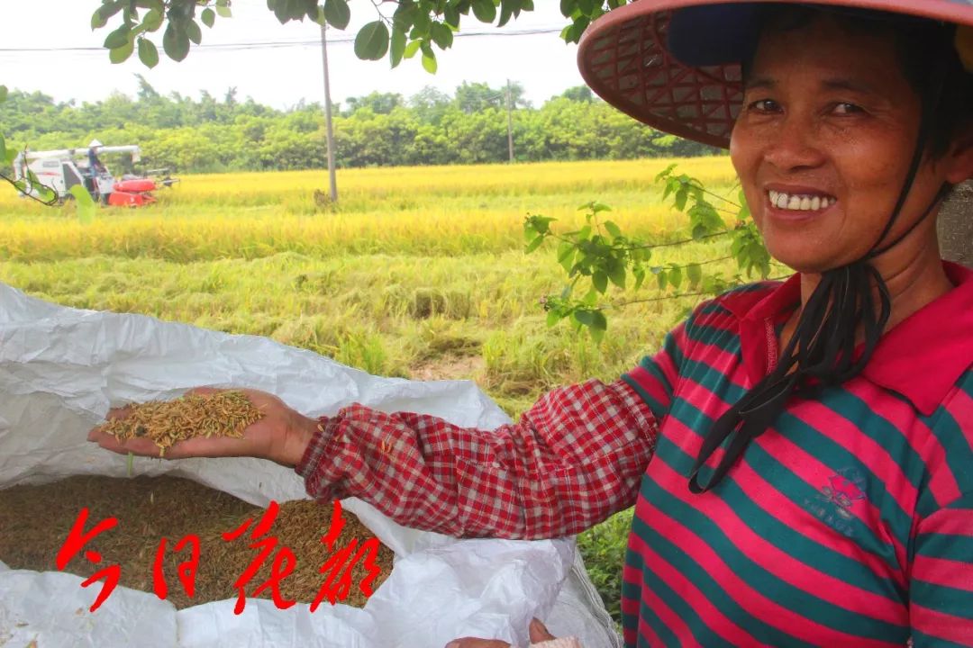 硒味道农产品(农产品硒含量标准)-硒宝网