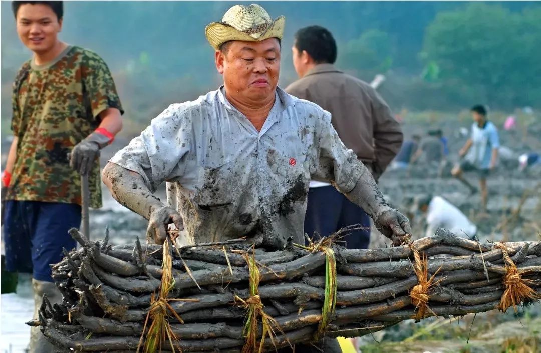 硒味道农产品(农产品硒含量标准)-硒宝网