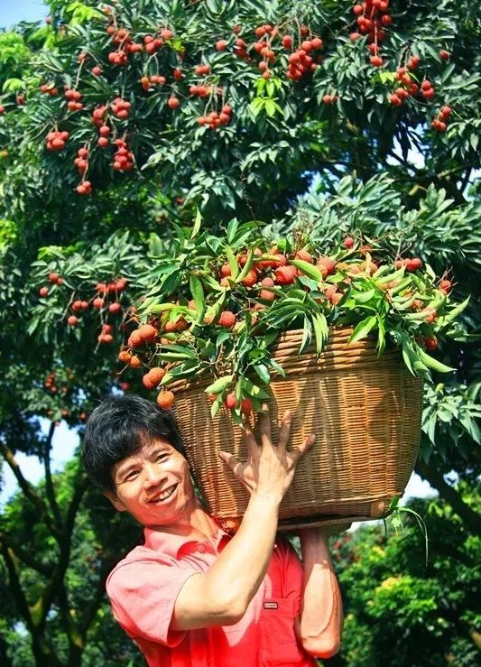 硒味道农产品(农产品硒含量标准)-硒宝网