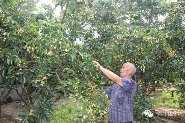 硒味道农产品(农产品硒含量标准)-硒宝网