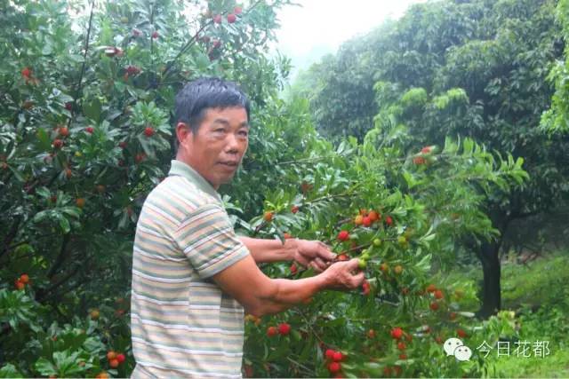 硒味道农产品(农产品硒含量标准)-硒宝网