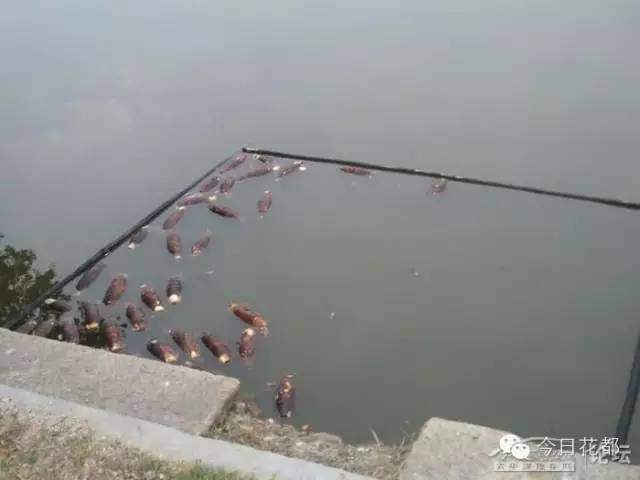 硒味道农产品(农产品硒含量标准)-硒宝网