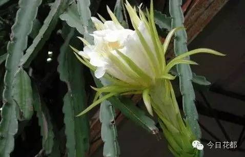 硒味道农产品(农产品硒含量标准)-硒宝网