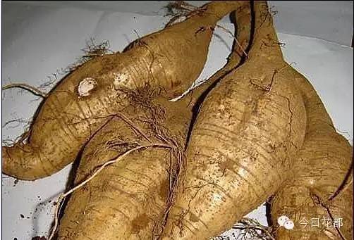 硒味道农产品(农产品硒含量标准)-硒宝网