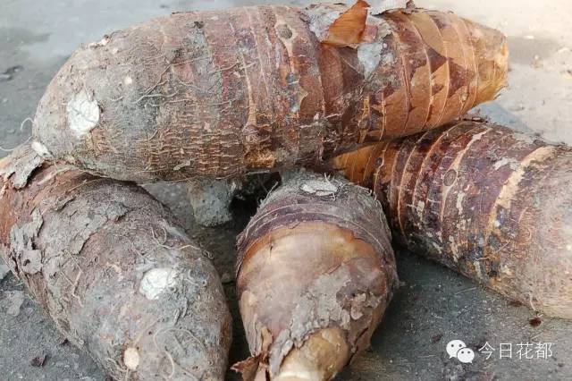 硒味道农产品(农产品硒含量标准)-硒宝网