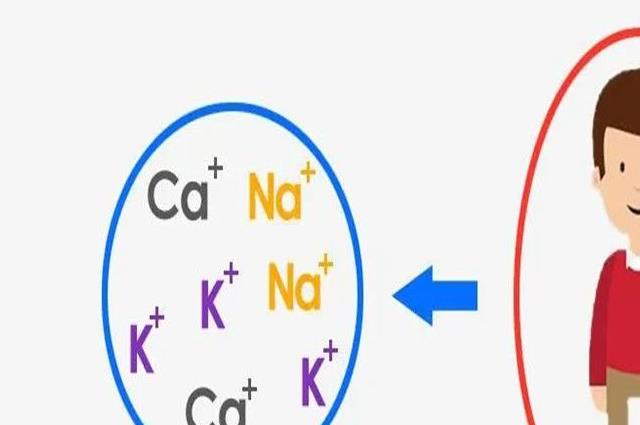 老人补钠的十种最佳食物（老年人补钠）-硒宝网