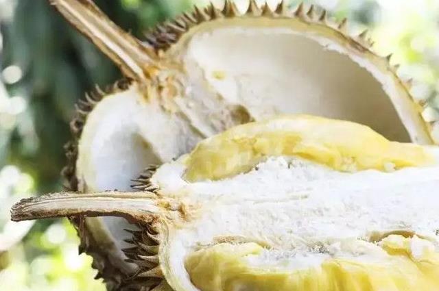 老人补钠的十种最佳食物（老年人补钠）-硒宝网