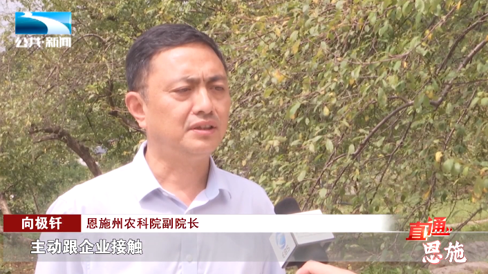 德源硒肽产品（天脉德源硒肽的用法）-硒宝网