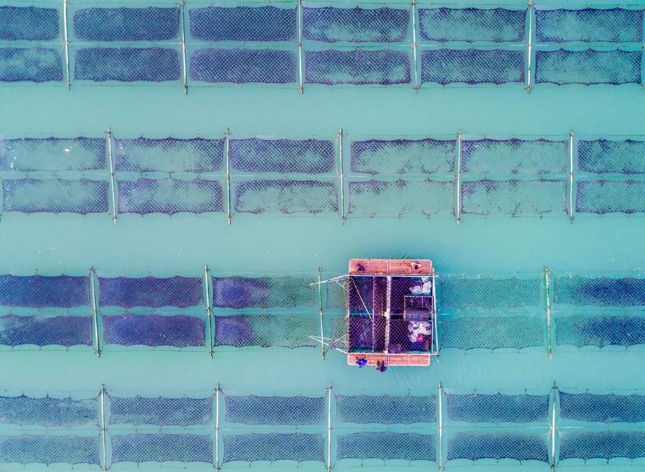 紫菜补铁吗(紫菜补铁还是补钙)-硒宝网