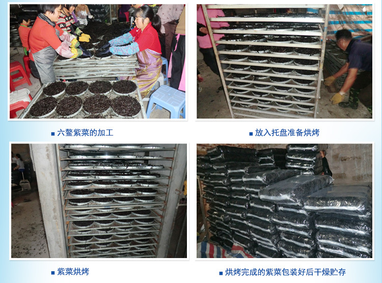 紫菜补铁吗(紫菜补铁还是补钙)-硒宝网