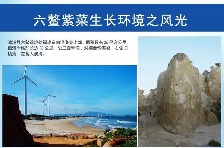 紫菜补铁吗(紫菜补铁还是补钙)-硒宝网