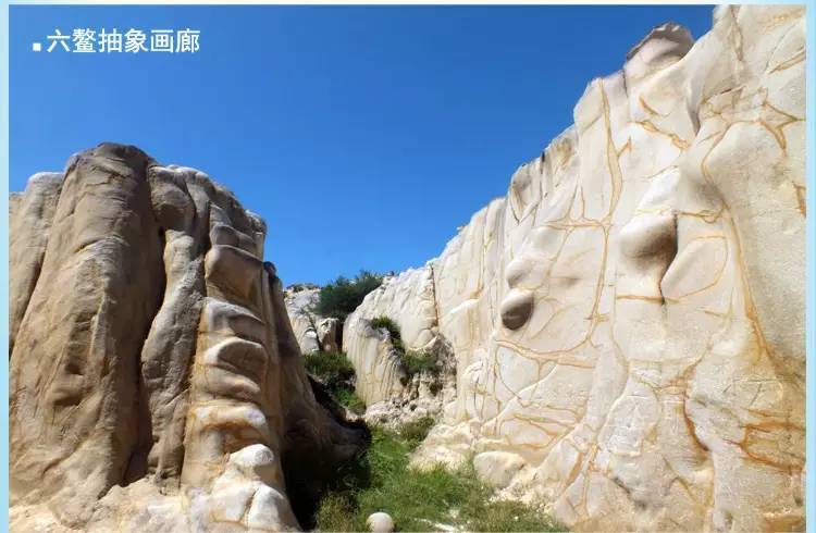 紫菜补铁吗(紫菜补铁还是补钙)-硒宝网