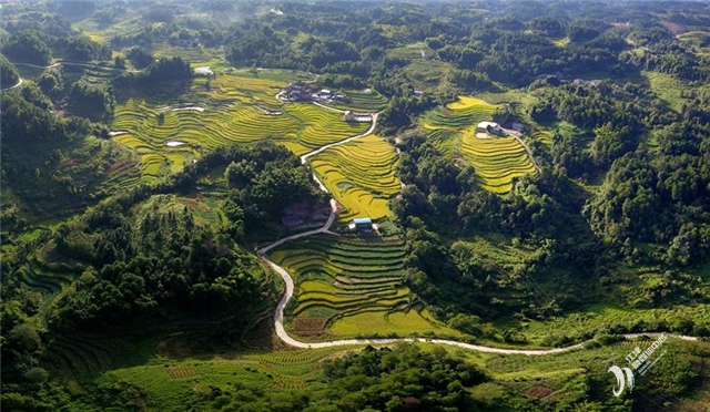 硒农产品市?。ǜ晃┎肥谐⌒枨螅?硒宝网