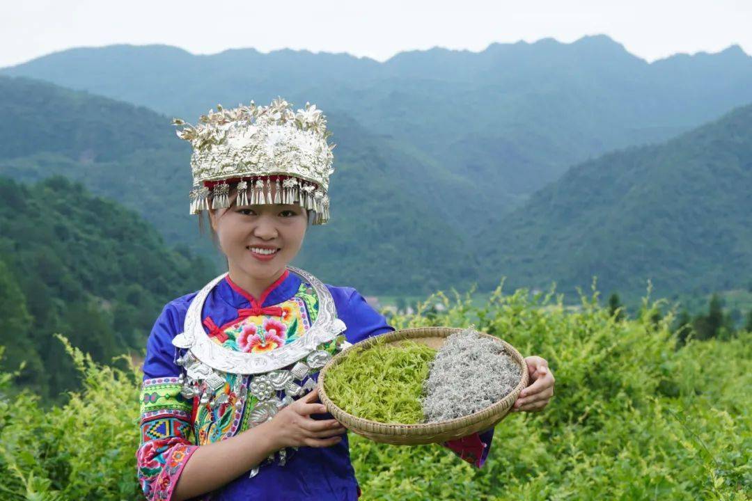 含硒莓茶产品(茶莓含产品硒元素吗)-硒宝网