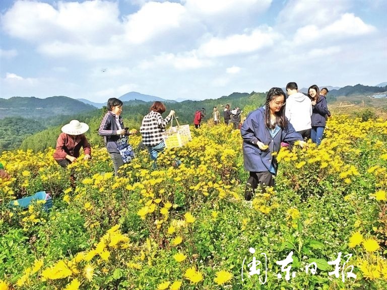 食用硒农产品（食用硒价格）-硒宝网