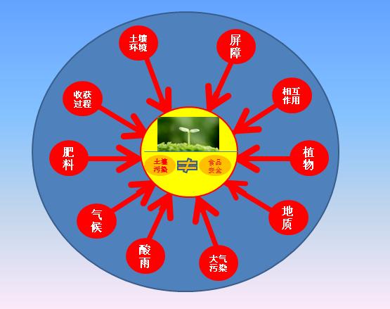 硒元农特产品(硒元素产品)-硒宝网