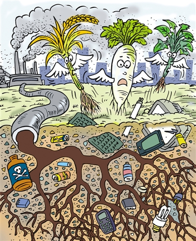 硒元农特产品(硒元素产品)-硒宝网