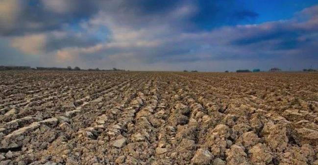 硒元农特产品(硒元素产品)-硒宝网