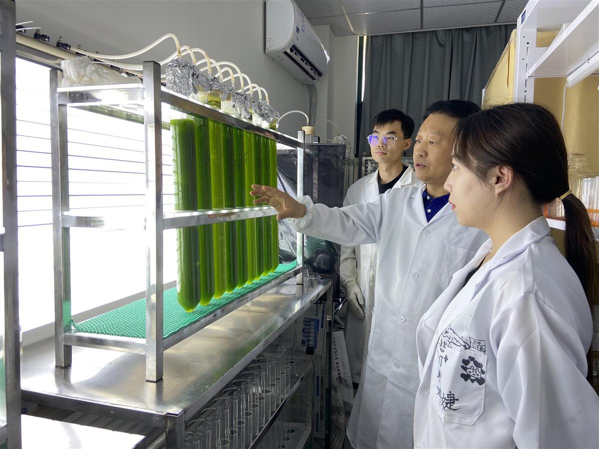 硒肽后的产品（硒肽后生物科技有限公司）-硒宝网