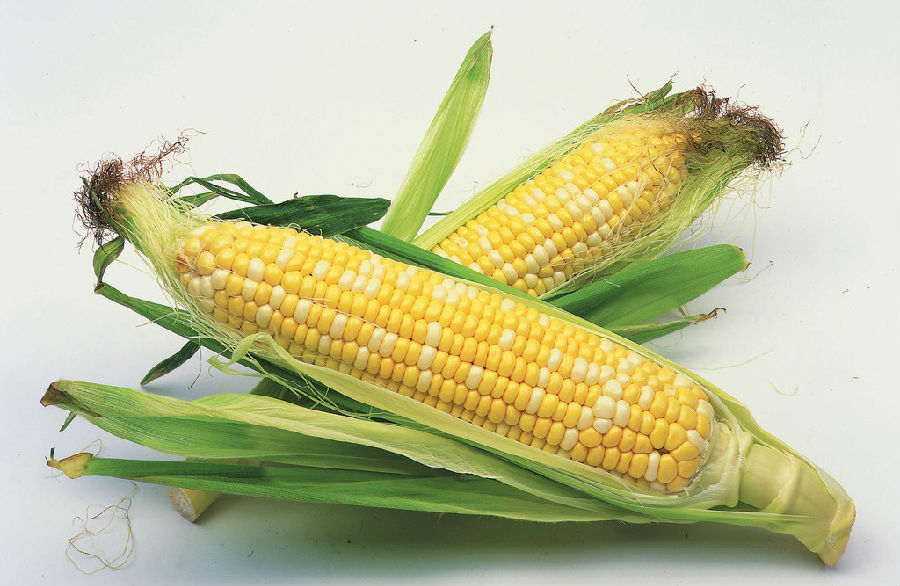 食用硒农产品(农用硒元素)-硒宝网