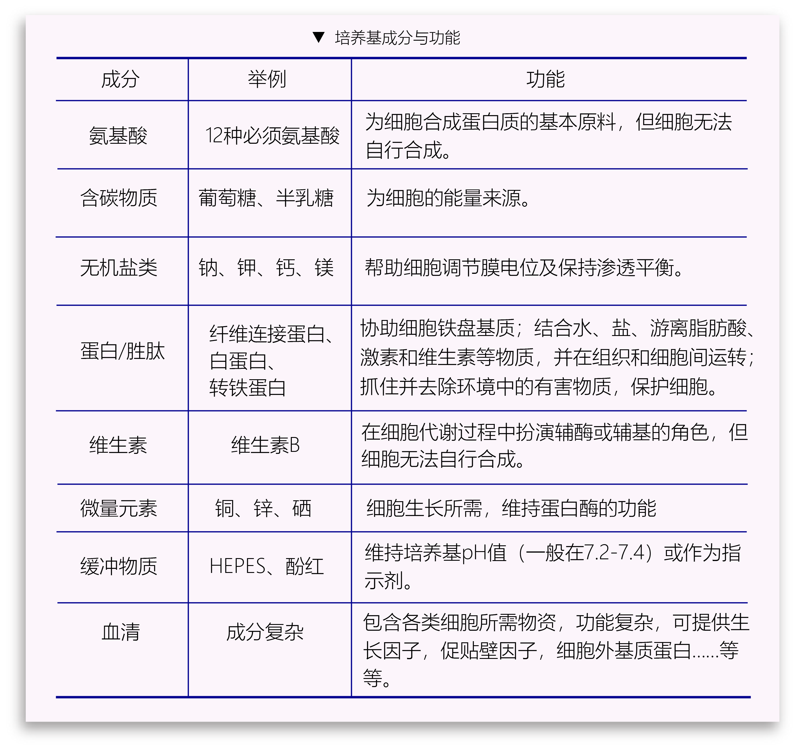 食用菌硒产品(食用菌硒含量排名)-硒宝网