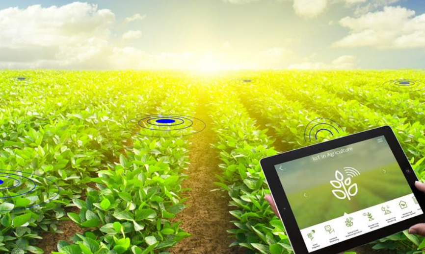 硒友物农产品(农科硒多少钱一盒)-硒宝网