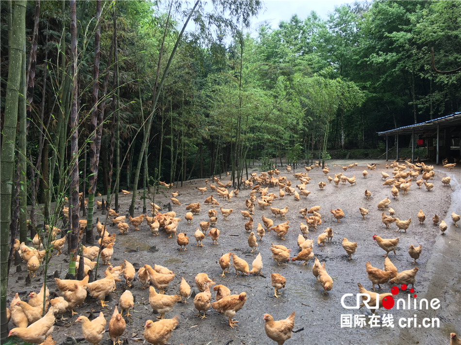 硒品园农产品（农园品产品硒含量高吗）-硒宝网