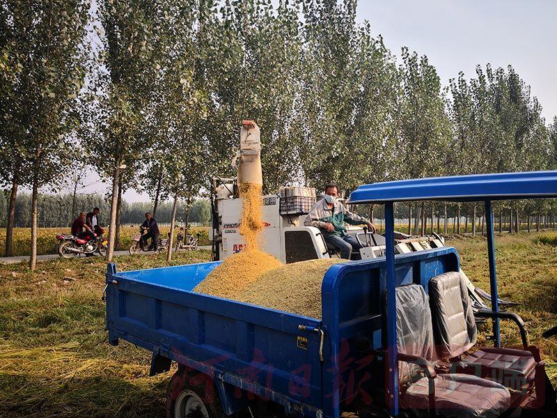 农产品硒为贵(硒贵不贵)-硒宝网