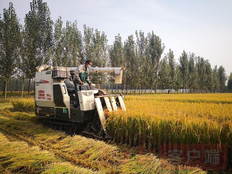 农产品硒为贵(硒贵不贵)-硒宝网