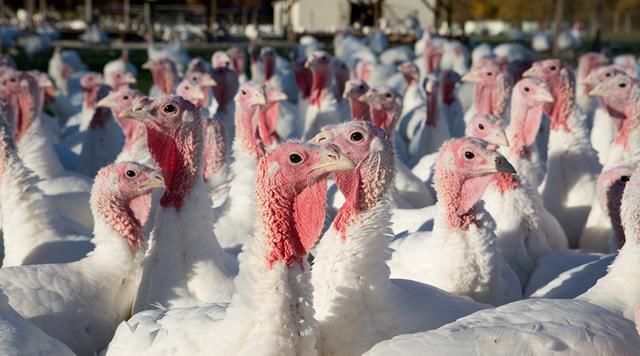 硒友物农产品（农友物产品硒含量高吗）-硒宝网