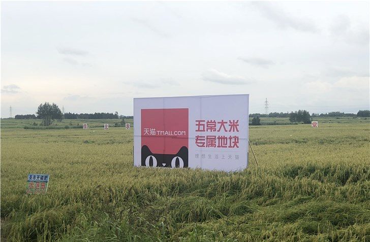 硒友物农产品（农友物产品硒含量高吗）-硒宝网