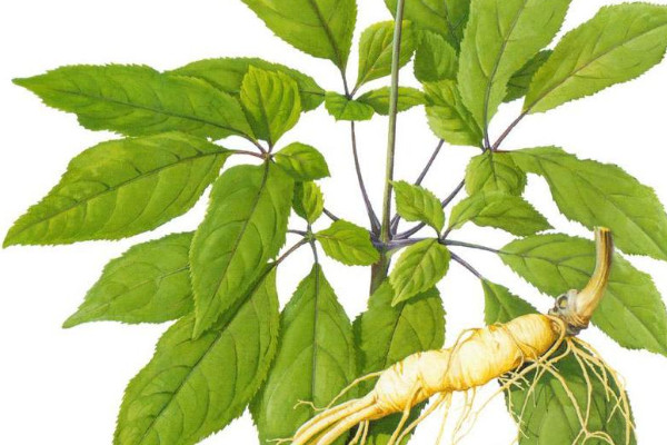 什么季节补锌效果最好(补锌的季节)-硒宝网